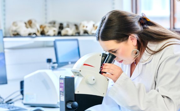 A students looking at artefacts through a microscope.